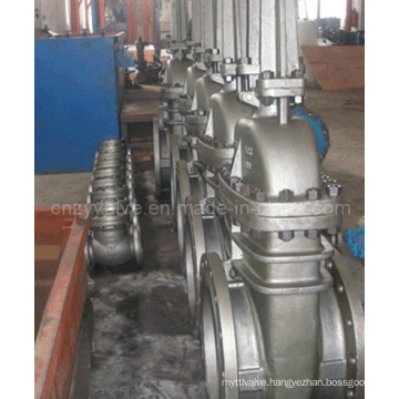 API Stainless Steel CF8 (M) /CF3 (M) Flanged Gate Valve